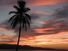 Jamaica06 (497)
